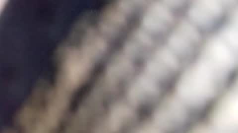 Snapshot of david_stone1969 chatting on January 2025 01:56:02 PM david_stone1969 online show from January 2025 01:56:02 PM