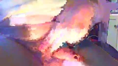 davidneedmore online show from February 2025 08:02:02 AM