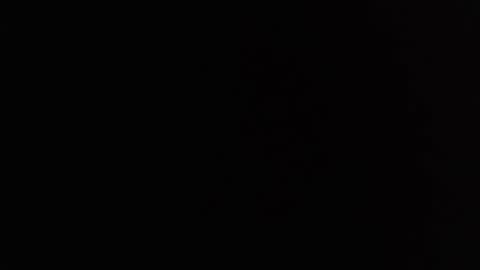 Snapshot of davselfs chatting on February 2025 11:20:02 AM dav online show from February 2025 11:20:02 AM