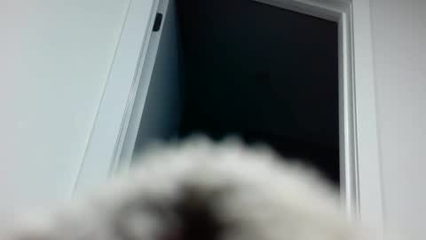 Snapshot of davyd11 chatting on September 2025 04:31:02 PM Davvyd online show from September 2025 04:31:02 PM