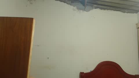 Dylon online show from November 2025 09:29:01 AM