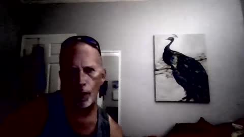 dcoester online show from May 2026 03:35:02 AM