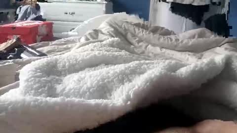 deano2105 online show from March 2026 11:16:02 AM