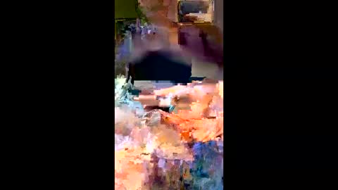 Snapshot of deeluey chatting on March 2026 03:54:02 AM deeluey online show from March 2026 03:54:02 AM