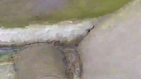 Dive Deep online show from November 2025 02:08:01 PM