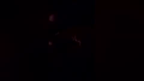 deerpark9 online show from April 2026 03:06:02 AM