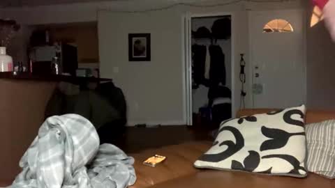  more content and goodies online show from December 2024 11:18:01 AM