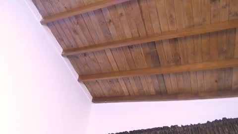  DEIVY  online show from December 2024 10:58:01 PM