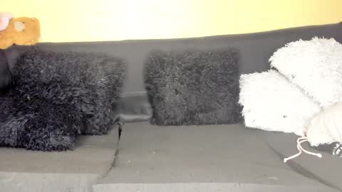 deli_la online show from March 2026 09:03:02 PM