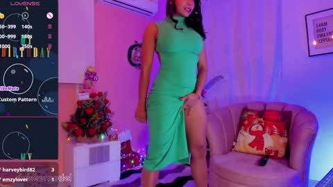 Snapshot of delsee_ chatting on December 2024 02:55:01 PM Delsee online show from December 2024 02:55:01 PM