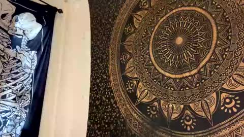 TankinBody online show from January 2025 08:13:01 PM