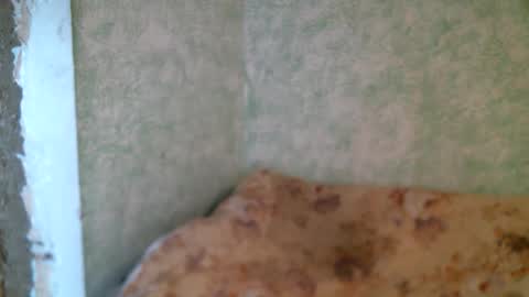 DennisXCarol online show from April 2026 10:14:02 AM