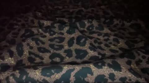 derek829099 online show from November 2025 01:16:01 AM