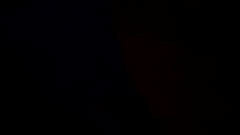 detectivearcor online show from October 2025 10:08:02 AM