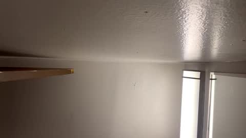 Nastytae313 online show from January 2025 02:25:01 AM