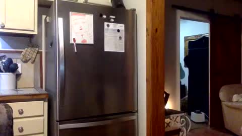 devjsav12 online show from January 2025 03:50:02 AM