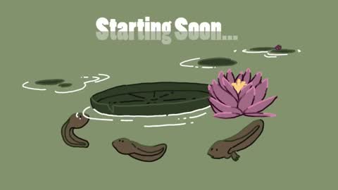 diana online show from January 2025 02:55:01 PM