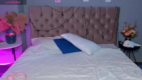 Snapshot of dianne_davis chatting on January 2025 09:21:02 AM Dianne online show from January 2025 09:21:02 AM