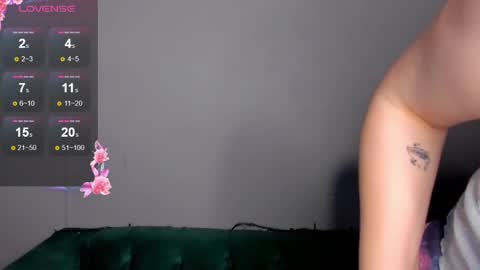 Snapshot of dianne_davis chatting on January 2025 02:36:01 PM Dianne online show from January 2025 02:36:01 PM