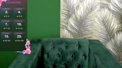 Snapshot of dianne_davis chatting on February 2025 06:20:02 PM Dianne online show from February 2025 06:20:02 PM