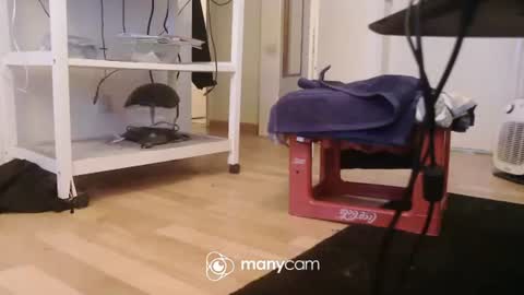 Kevin S. online show from December 2025 09:59:02 AM