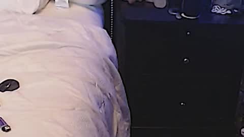 Sparkx online show from March 2025 07:04:02 AM