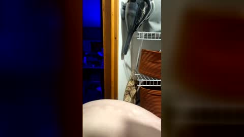 DickTaterish online show from May 2026 06:43:02 AM