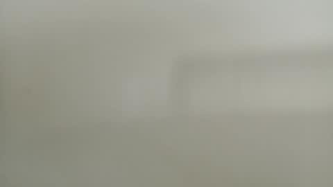 Snapshot of diegomoreno19 chatting on December 2024 05:29:01 PM Diego online show from December 2024 05:29:01 PM