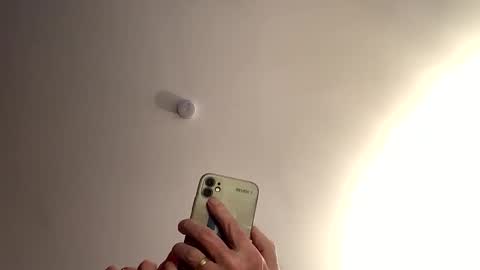 Dildolover online show from January 2026 09:58:02 AM