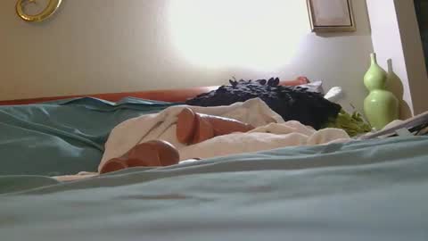 dildosnme22 online show from February 2026 02:48:01 AM