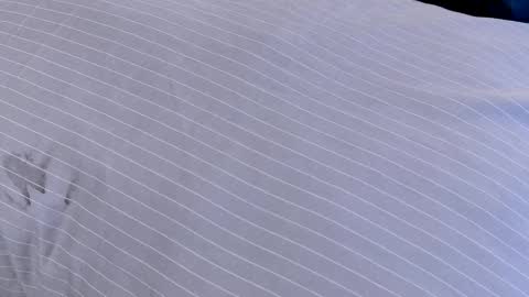 Dilldough405 online show from February 2025 07:55:02 AM