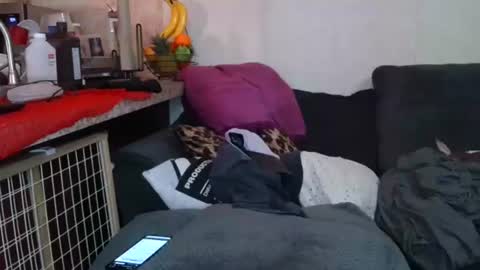 Sofie online show from December 2025 02:35:02 PM