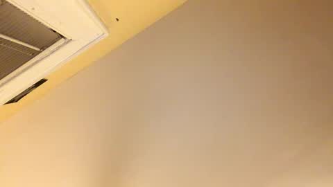 Snapshot of dinglerdingler chatting on December 2024 11:19:01 PM Dingler online show from December 2024 11:19:01 PM