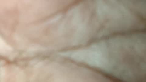 dyno online show from November 2025 05:52:01 PM