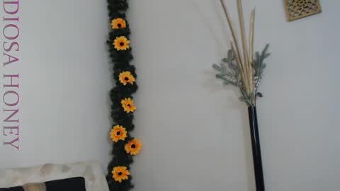 Diosa online show from January 2025 08:46:01 PM