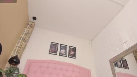 Snapshot of diosaa_golden chatting on February 2025 03:10:02 AM DIOSA online show from February 2025 03:10:02 AM