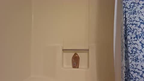 DIPSTIK online show from October 2025 06:31:01 PM