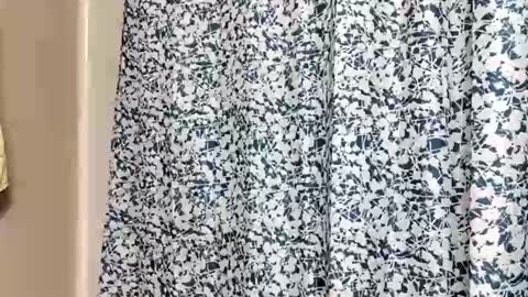 DIPSTIK online show from November 2025 07:12:01 PM