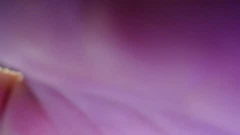 Dirty Kiss69 online show from February 2025 11:31:01 PM