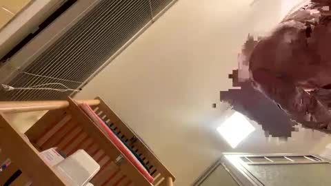 dividjohn online show from February 2025 05:08:01 AM