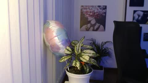 Hera online show from November 2025 10:07:01 AM