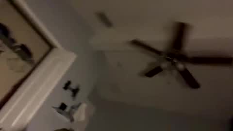 dixnice online show from February 2026 07:20:01 AM