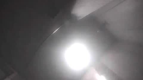 Snapshot of dixonbird41 chatting on April 2026 09:45:02 AM dixonbird41 online show from April 2026 09:45:02 AM