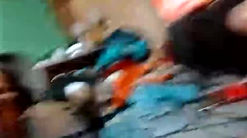 Snapshot of dixonbird41 chatting on May 2026 07:04:01 AM dixonbird41 online show from May 2026 07:04:01 AM