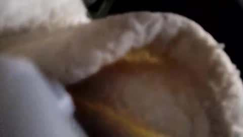 Snapshot of dixonbird41 chatting on May 2026 10:54:01 AM dixonbird41 online show from May 2026 10:54:01 AM