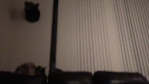 DJ Chaterbate online show from February 2026 08:31:01 AM