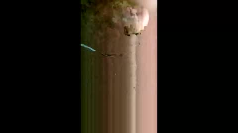 Lokmane122 online show from April 2026 11:48:01 AM