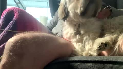 DKdad online show from December 2025 09:13:02 AM