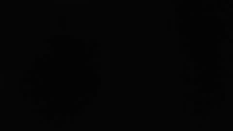 dlt22 online show from April 2026 10:53:02 AM