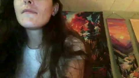 dnr2026 online show from July 2026 10:20:02 PM